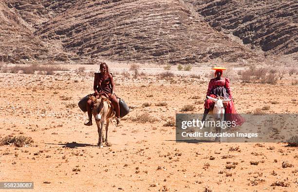 Namibia, Africa, Northern Desert colorful Herero tribe woman and Himba woman riding mules herding goats