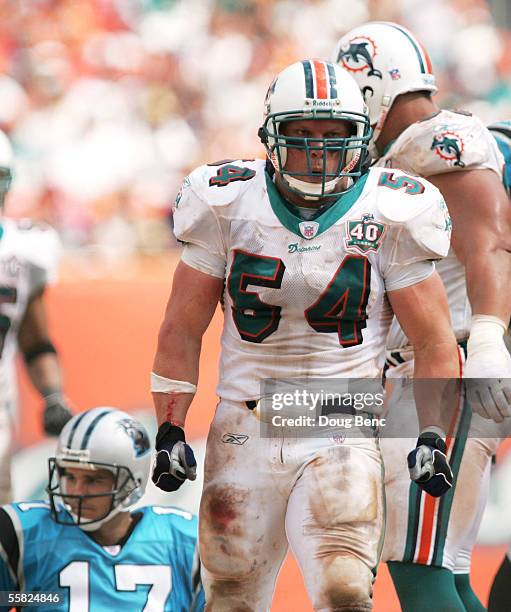 Linebacker Zach Thomas of the Miami Dolphins celebrates after sacking quarterback Jake Delhomme of the Carolina Panthers on September 25, 2005 at...