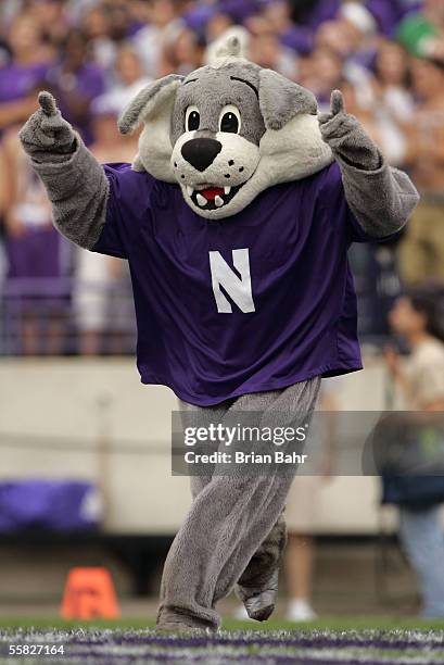 Willie the wildcat, mascot of the Northwestern Wildcats is seen on the field against the Penn State Nittany Lions September 24, 2005 at Ryan Field in...