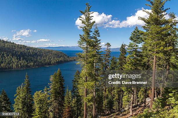 south lake tahoe view through trees - サウスレイクタホ ストックフォトと画像