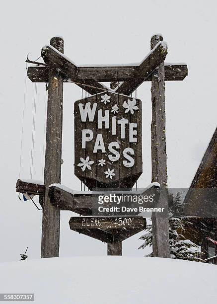 snow at white pass, washington - correction fluid stockfoto's en -beelden