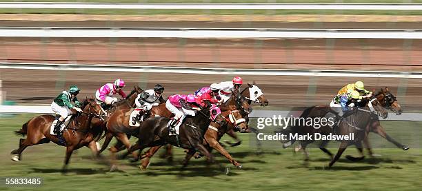 The field in the Seppelt Fleur De Lys Handicap Race 4 attempt to run down Activation during the Turnbull Stakes Day at Flemington Racecourse October...