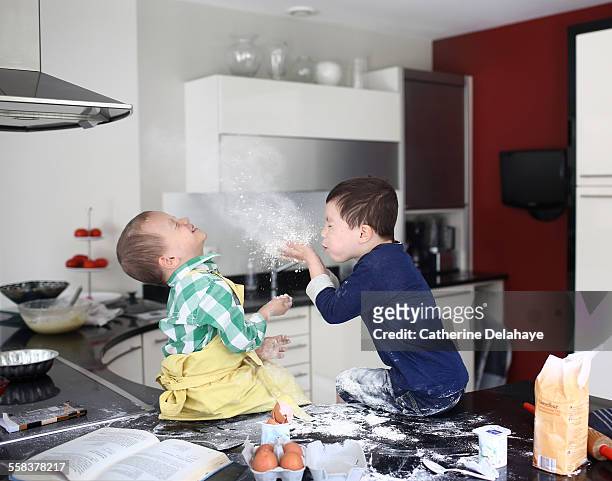 2 brothers playing with flour in the kitchen - reel pieces with annette insdorf preview of a little chaos stockfoto's en -beelden