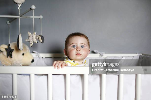 a 7 months old baby in his bed - crib stock pictures, royalty-free photos & images