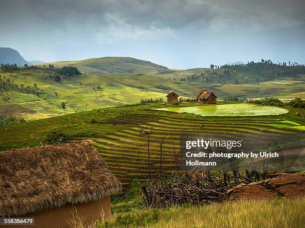 traditional mud houses and rice paddy, madagascar - マッドハット ストックフォトと画像