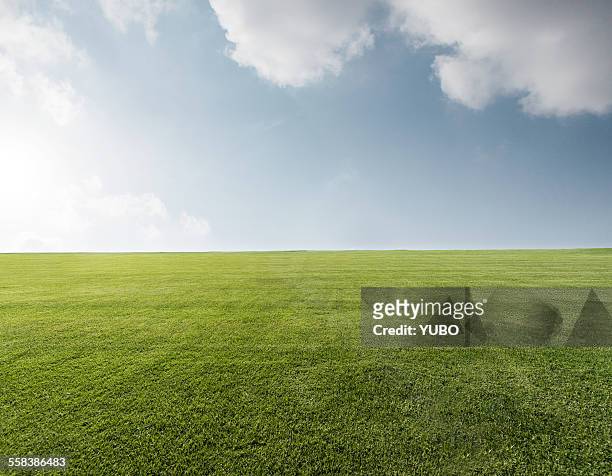 grassland - grass stock pictures, royalty-free photos & images