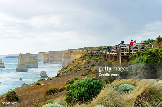 one of the lookout at 12 apostles - great ocean road stock pictures, royalty-free photos & images