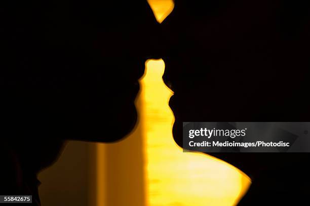 silhouette of gay male couple about to kiss, close-up - couples making passionate love fotografías e imágenes de stock