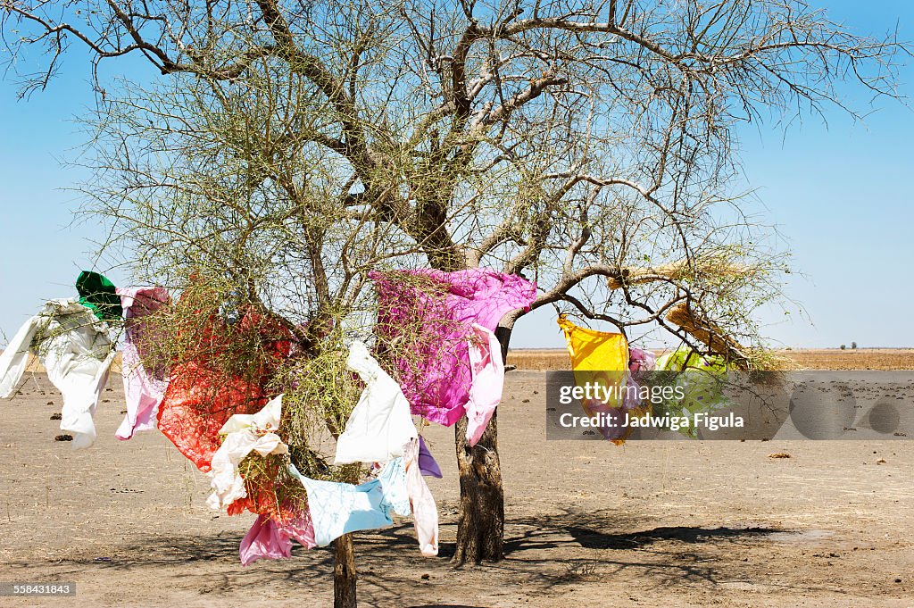 Colorful clothes hang on a tree. South Sudan.
