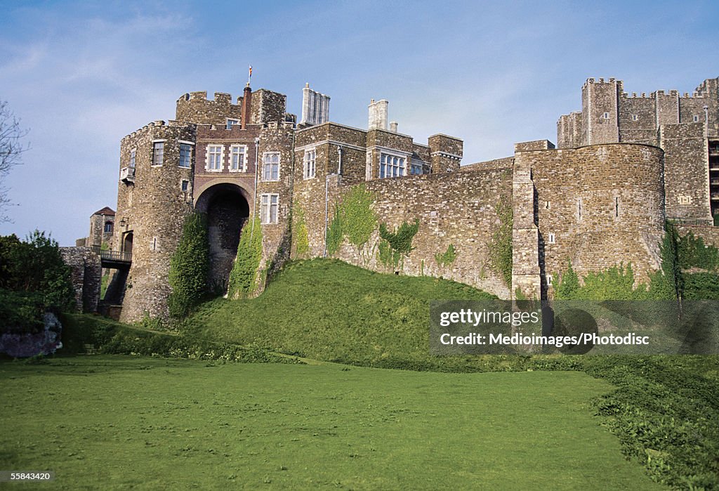 Moss on the wall of Dover Castle, Dover, Kent, England