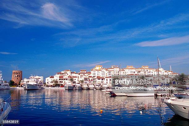 boats moored at a harbor, puerto banus, costa del sol, andalusia, spain - マルベーリャ ストックフォトと画像