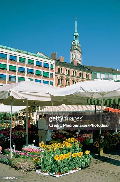 flower stand in a market, viktualienmarkt and the old city hall, munich, germany - viktualienmarkt stock pictures, royalty-free photos & images