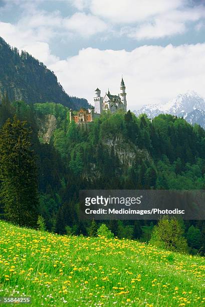 low angle view of neuschwanstein castle, romantic route road, germany - neuschwanstein stock pictures, royalty-free photos & images