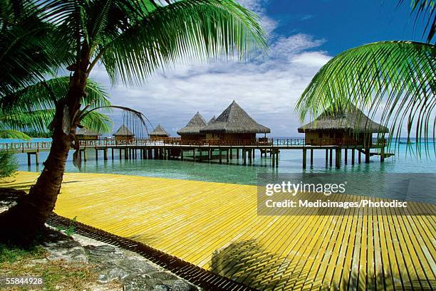 stilt house on the beach, rangiroa, french polynesia - rangiroa atoll stock pictures, royalty-free photos & images