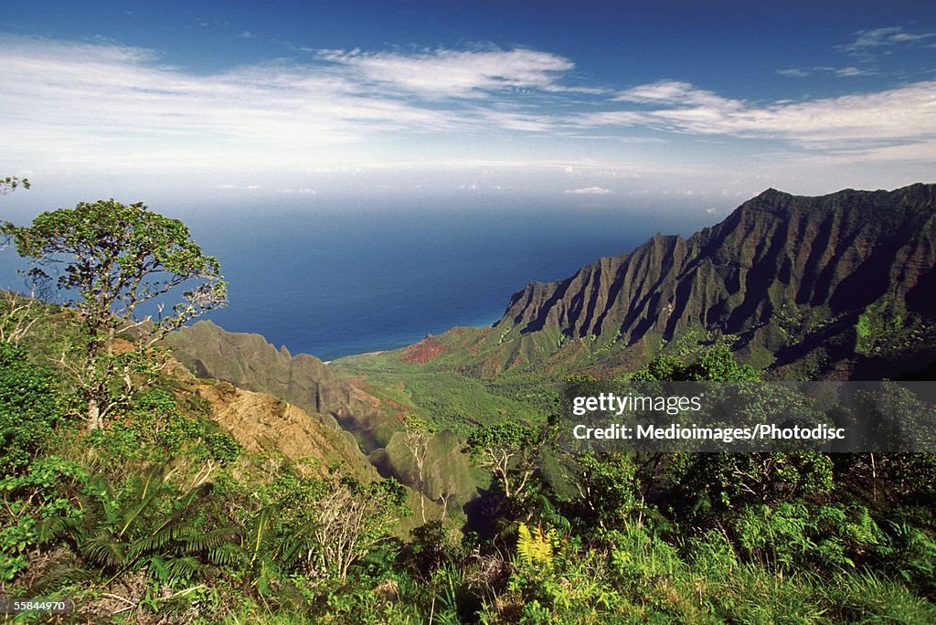 Panoramic view of a landscape, Kalalau Lookout, Waimea Canyon State Park, Kauai, Hawaii, USA