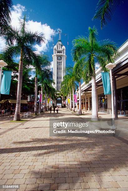 palm trees on the both sides of a road, aloha tower, honolulu, oahu, hawaii, usa - honolulu foto e immagini stock