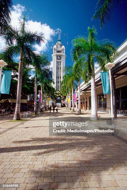 palm trees on the both sides of a road, aloha tower, honolulu, oahu, hawaii, usa - hawaii flag 個照片及圖片檔