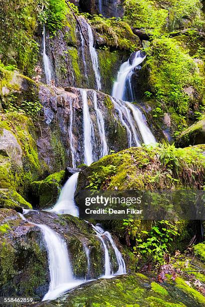 tranquil waterfall in the smokies - roaring fork motor nature trail bildbanksfoton och bilder