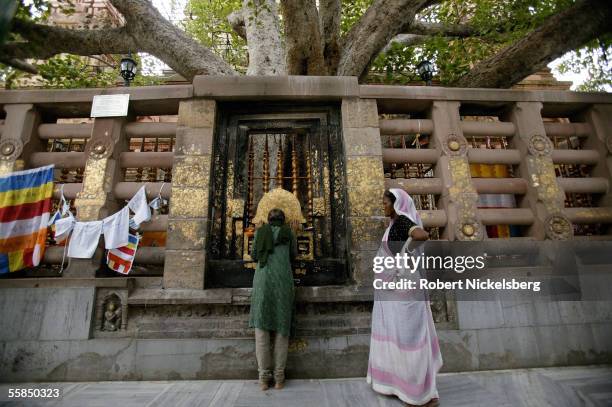 An Indian Hindu pilgrim prays at dawn against the gold flaked gate beneath the Bodhi Tree July 25, 2005 in Bodhgaya, India. Buddha attained...