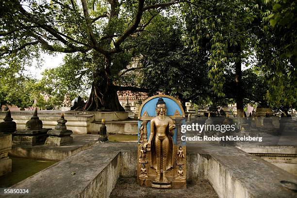 Statue of an upright Buddha stands amidst various stupas near the Bodhi Tree July 25, 2005 in Bodhgaya, India. Buddha attained enlightenment in 528...