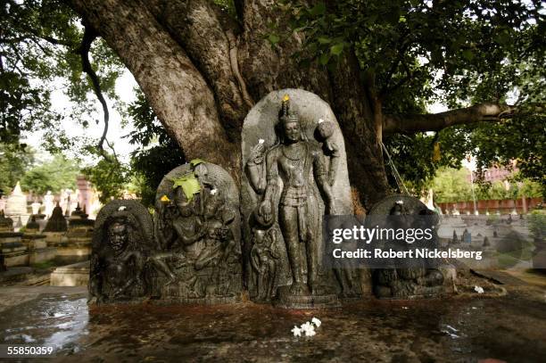 Small altar with Hindu deities stands near the Bodhi Tree July 25, 2005 in Bodhgaya, India. Buddha attained enlightenment in 528 B.C. Following years...