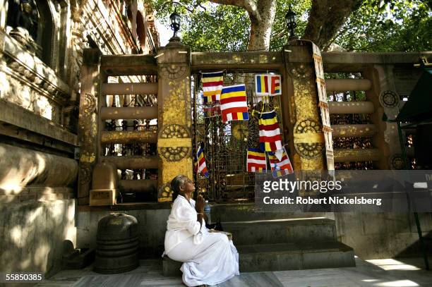 Indian pilgrim prays near the Bodhi Tree at the Mahabodhi Temple on July 25, 2005 in Bodhgaya, India. Buddha attained enlightenment in 528 B.C....