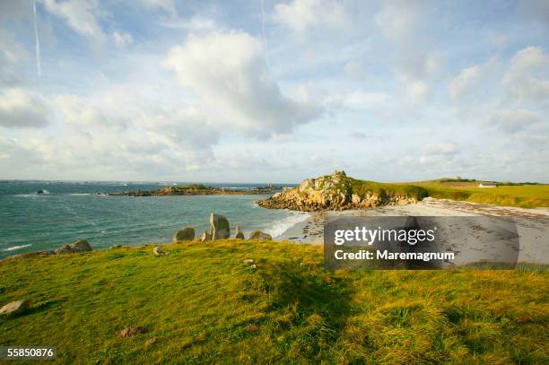 france, bretagne, brittany. roscoff. batz island - bretagne stockfoto's en -beelden