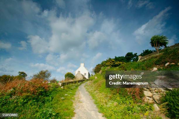 france, bretagne, brittany. roscoff. batz island - bretagne stockfoto's en -beelden