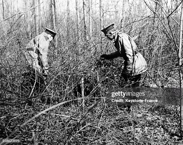 Deux policiers cherchant des traces des ravisseurs du bébé de Charles Lindbergh dans la forêt qui entoure la maison de l'aviateur, à Hopewell,...