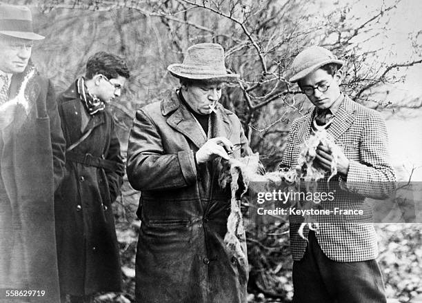 Explorateur anglais Marmaduke Wetherells, qui a ete affecte au lac du Loch Ness, pour la recherche du monstre, vient de trouver quelques bribes de la...