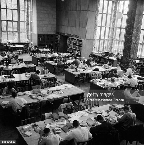 Etudiants travaillant à la bibliotheque en juin 1965, à l'universite de Princeton, New Jersey.