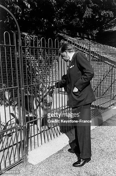 Le milliardaire américain Paul Getty caresse son berger allemand, un des chiens de garde qui gardent sa grande propriété du Surrey, Sutton Place,...