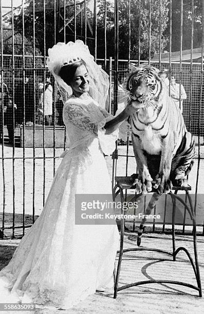 La jeune mariée en robe blanche, Mary Chipperfield, dompteuse de tigre et fille d'un propriétaire de zoo, avec son jeune ami le tigre Suky, le 12...
