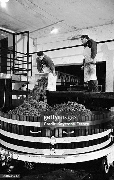 Vue des caves de Moët et Chandon où a lieu le pressage et la mise en bouteille du Champagne, à Epernay, France, le 17 octobre 1965.