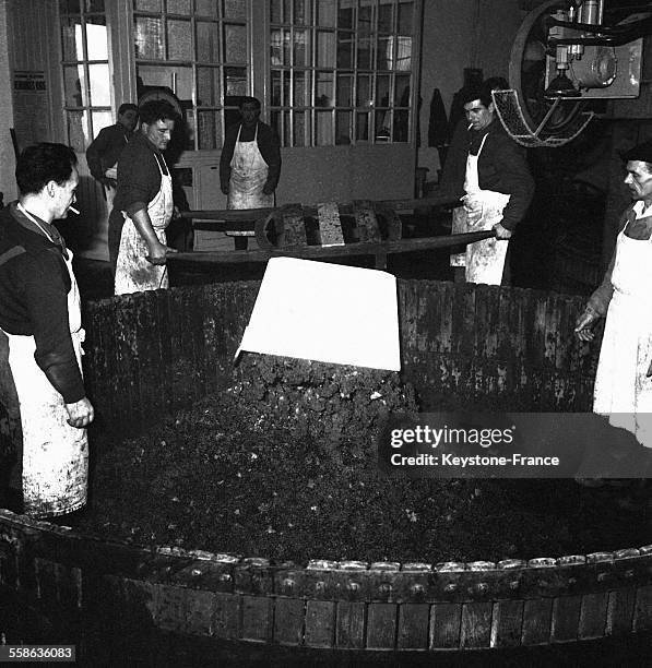 Vue des caves de Moët et Chandon où a lieu le pressage et la mise en bouteille du Champagne, à Epernay, France, le 17 octobre 1965.