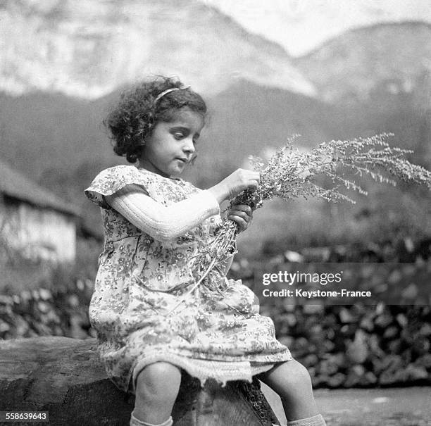 Petite fille faisant un bouquet de fleurs des champs dans une colonie de vacances, en France en 1941.