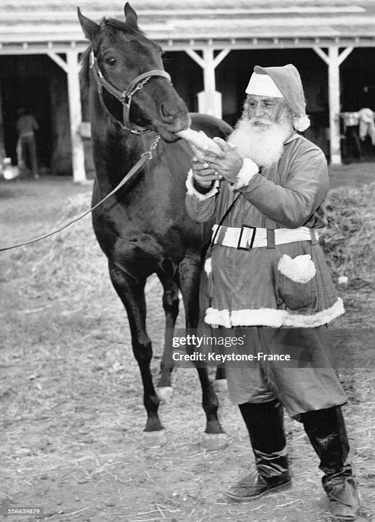 Pere Noel Donnant Une Carotte A Un Cheval