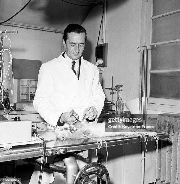 Le docteur Henri Laborit photographié dans son laboratoire de recherche à l'hôpital Boucicaut à Paris, France, le 22 janvier 1966.