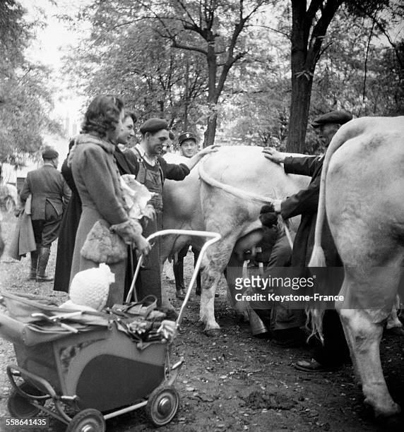Femme demandant du lait pour son enfant à la foire aux bestiaux, à Vichy, France, le 22 octobre 1942.