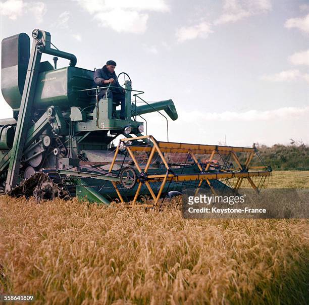 Moissonneuse-batteuse récoltant du riz dans le sud, en 1961 en France.
