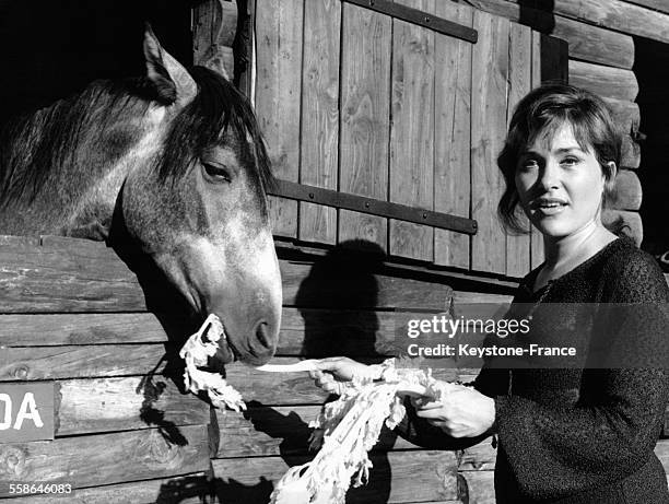 La chanteuse de variété française Rika Zaraï donne à manger à un cheval au ranch de Maure Vieil le 28 juillet 1970, en Provence, France.