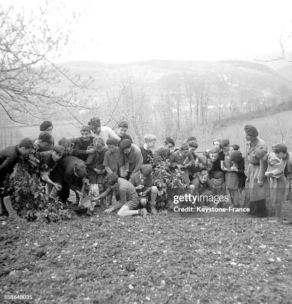 Récréation des enfants dans la nature, circa 1940 en France.