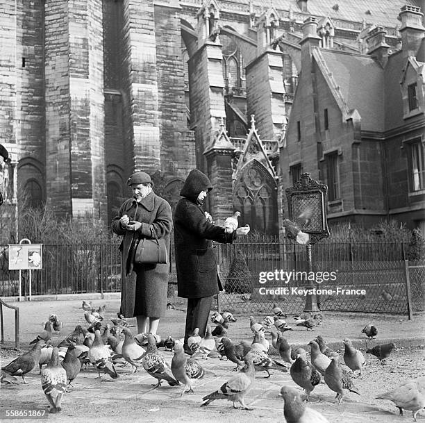 Deux femmes nourrissent les pigeons parisiens dans le jardin de Notre-Dame à Paris, France.