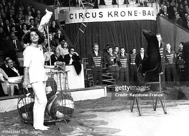 Numéro de Senta Berger avec une otarie et un perroquet à l'occasion du Gala des artistes allemand au Circus Krone, à Munich, Allemagne, le 10...