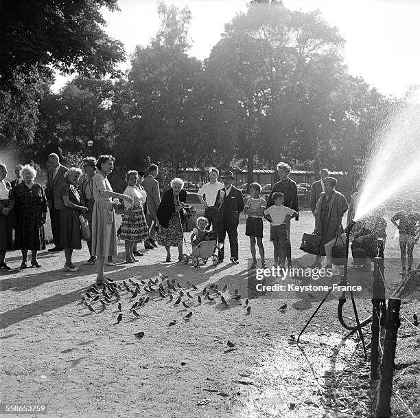 Une dame donne à manger aux moineaux sous le regard des passants, dans un jardin en bordure des Champs-Elysées à Paris, France, le 24 septembre 1961.