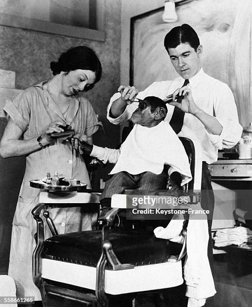 Un chimpanzé se fait couper les cheveux et un manucure, à Miami, Floride, Etats-Unis le 12 février 1931.