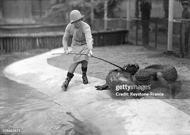 Dompteuse avec un baton pour montrer la gueule d'un des crocodiles de Floride et Californie qui venaient d'arriver au jardin d'acclimatation le 4...