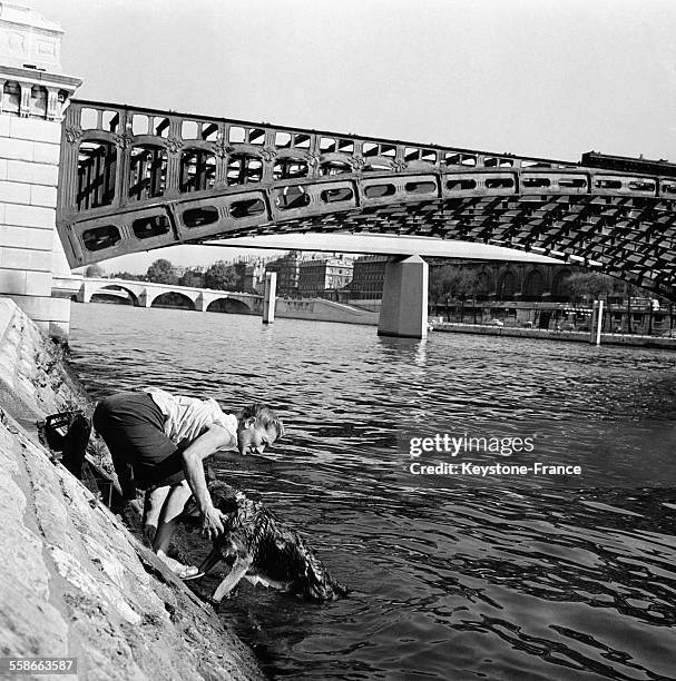 Jeune femme donnant un bain à son chien dans la Seine, à Paris, France le 30 août 1961.