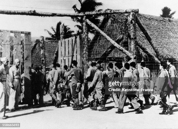 Prisonniers japonais entrant dans un camp sur l'Ile de Guam dans l'Océan Pacifique en 1945.