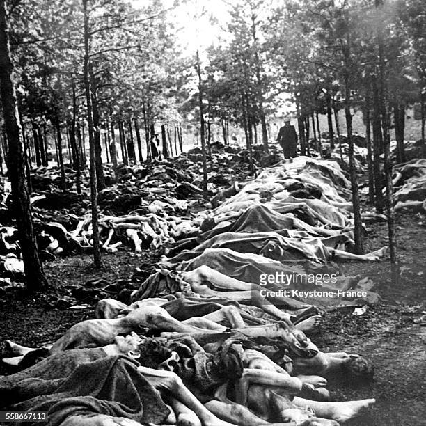 Cadavres de déportés alignés sur le sol dans le camp de concentration de Bergen-Belsen à Bergen, Allemagne en 1945.